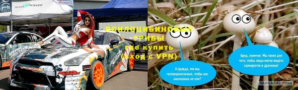 бошки Алексин