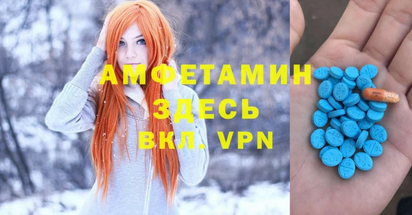 бошки Алексин